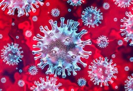 Estado confirma 689 casos e 24 óbitos pela covid-19