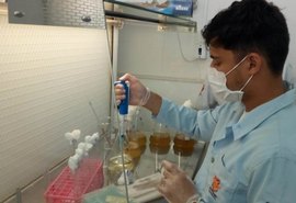 Polo Agroalimentar de Arapiraca beneficia a realização de pesquisas científicas em AL