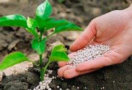 Durante visita ao estado, presidente destaca vocação do Nordeste para o agronegócio