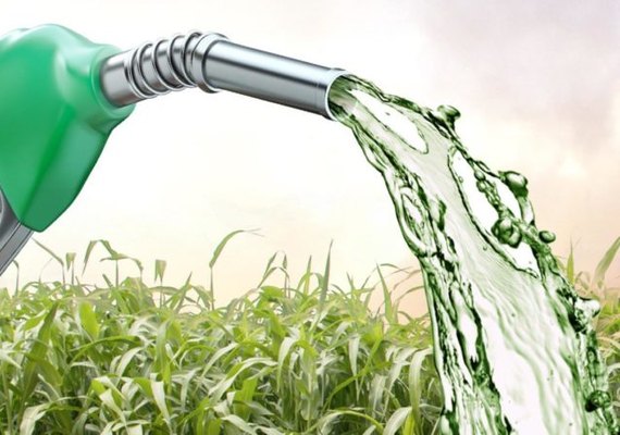 Produção de etanol deve voltar a crescer em 2020