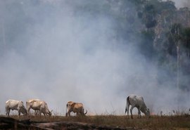COP26: cerca de 100 nações apoiam promessa de reduzir emissões de metano