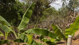 Fossa ecológica surge como alternativa na defesa do meio ambiente