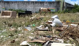 MPAL identifica lixo, entulho e ocupações irregulares em terreno do Estado no Tabuleiro