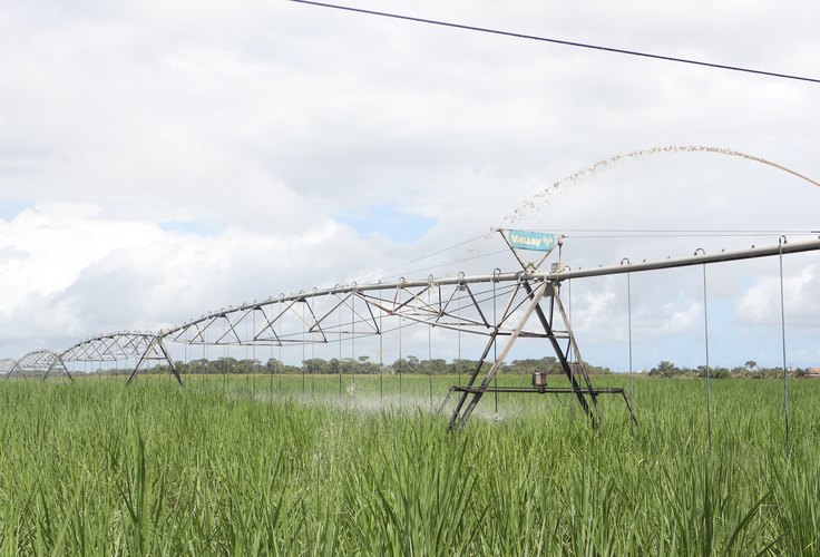 Novo marco regulatório dos bioinsumos tem potencial para impulsionar o crescimento