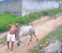 [VÍDEO] Homem é arremessado após cabeçada de boi no interior de Pernambuco