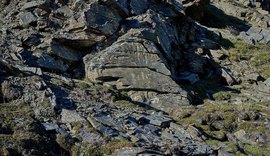 Segredos do Ártico: arqueólogos descobrem 31 novos petróglifos