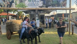 Faeal/Senar participam da 71ª Expoagro com estande ao produtor