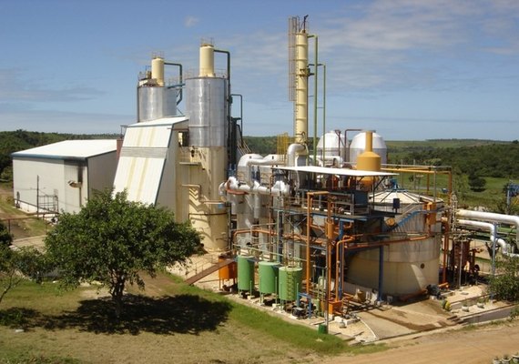 Pindorama já processou 584 mil toneladas de cana