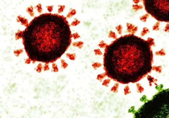 Covid: oito mortes são confirmadas e 308 casos da doença nas últimas 24 horas em Alagoas