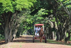 Edital seleciona roteiros turísticos para a segunda edição do projeto Experiências do Brasil Rural