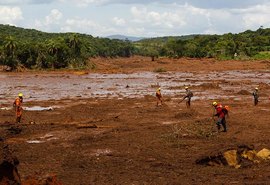 Penas para tragédias ambientais podem ficar mais severas