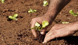 Portaria regulamenta Cadastro Nacional da Agricultura Familiar (CAF)