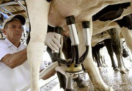 Destaque na produção mundial de leite, Brasil ainda tem dificuldade para exportar