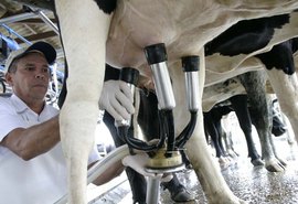 Preço do leite pago aos produtores tem quarto mês de alta
