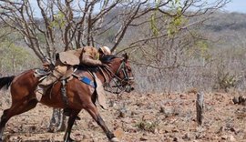 Parque da Pecuária reúne profissionais da roça no 2° Encontro de Vaqueiros e Gerentes de Fazendas