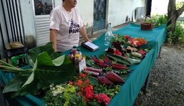 Seagri promove Feira da Agricultura Familiar nesta 6ª, no Centro de Maceió