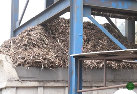 Produção de cana sofre redução devido à forte estiagem em AL