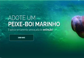 Turismo de observação de peixe-boi fortalece conservação em AL