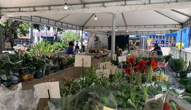 Maceió recebe feira com mais de 200 espécies de flores a partir de R$ 5
