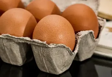 Consumo de ovos cresce no Brasil e impulsiona setor avícola