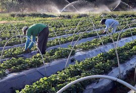 Cooperativismo com produção sustentável é pauta apresentada ao Governo Federal