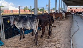 Parque da Pecuária abre portões para a 72ª Expoagro Alagoas neste sábado (22)