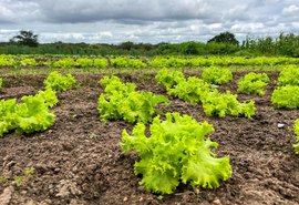 Governo fortalece programas e beneficia mais de 60 mil agricultores familiares em AL