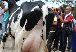 Lançamento da 36ª Expo Bacia Leiteira acontece nesta quarta (8)