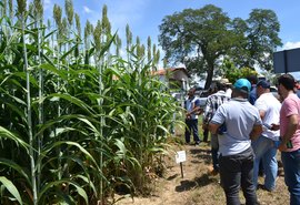 Senar promove dia de campo em URT de Batalha