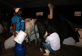 Torneio Leiteiro da ExpoBacia será exclusivo para agricultura familiar