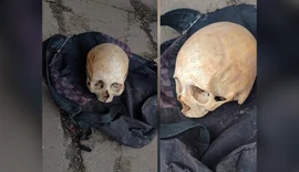 Crânio humano é encontrado dentro de mochila em parada de ônibus