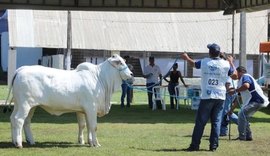 Expoalagoas Genética Itinerante será vitrine para a pecuária de AL