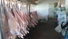 Polícia flagra abatedouro clandestino em União dos Palmares; dono foi preso