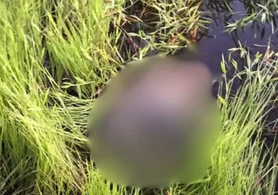 Corpo esquartejado é encontrado enrolado em lona em lago no interior de Alagoas