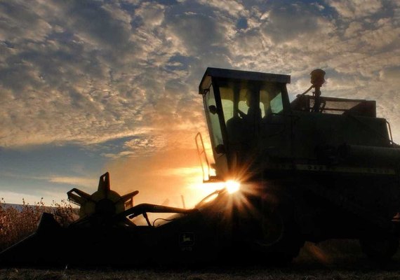 Com safra recorde, Brasil se aproxima da liderança na soja