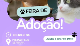 Feira de adoção incentiva novo lar para cães e gatos em Maceió
