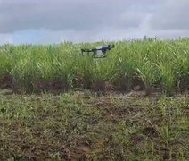 Usina Santo Antônio, em Alagoas, utiliza drones na aplicação de defensivos nas áreas de encosta