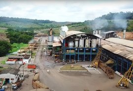 Usinas alagoanas processaram 17 milhões de toneladas de cana até fevereiro