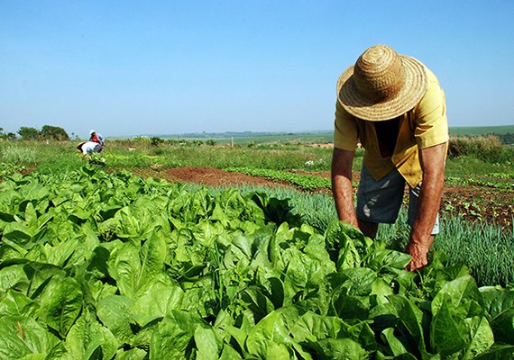 Trabalhadores do campo e da indústria têm reajustes de 4% e 3,5%