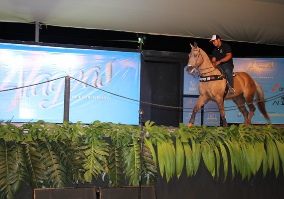 6º Alagoas Quarter Horse apresenta tropa nesta quarta (10)