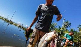 IMA proíbe consumo de peixes encontrados mortos à margem da Lagoa da Anta