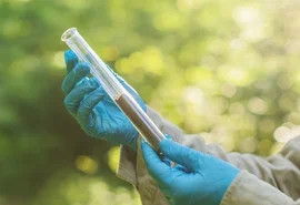 Estudo revela que fezes eram utilizadas como medicamento na Roma Antiga