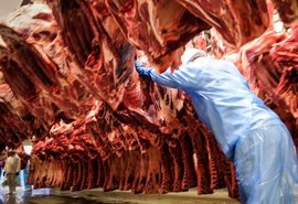 Fim da cota chinesa interrompe exportações de carne bovina brasileira