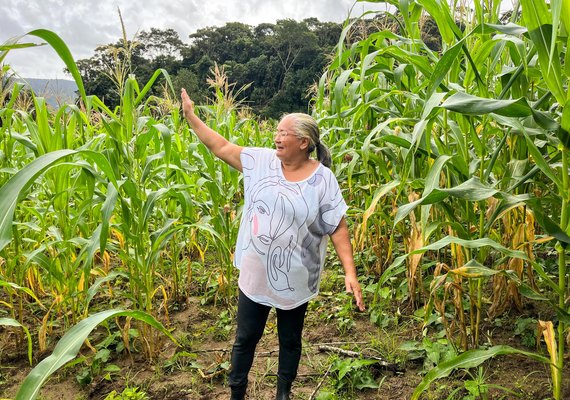 Agricultora comemora colheita de milho verde com sementes doadas pelo Planta Alagoas