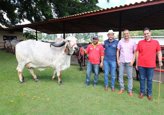 Agricultura familiar terá condições especiais  no 3º Leilão Genética de Berço