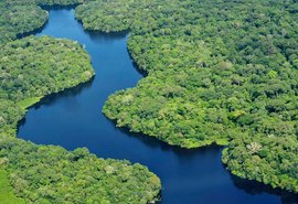 Petrobras anuncia aporte de R$ 2,8 bilhões no Amazonas para impulsionar indústria naval