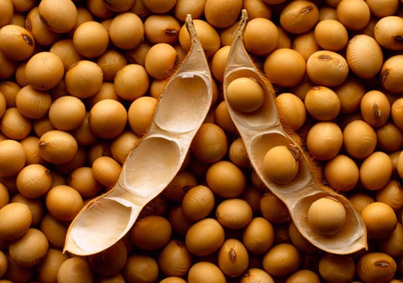 Preço da soja no Brasil melhora com a demanda da China