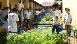 Sessenta escolas da rede de ensino estadual têm horta escolar