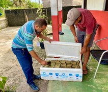 Agricultores de Penedo doam alimentos para desabrigados pelas chuvas
