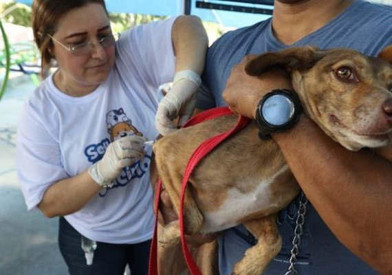 Alagoas inicia campanha de vacinação antirrábica para cães e gatos